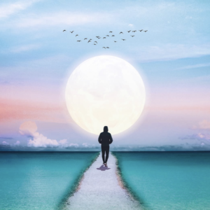 Mindful Mastery ~ Course Only Individual